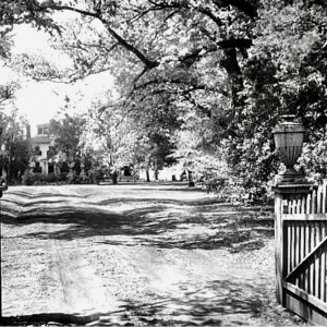 Hayes in Days Past